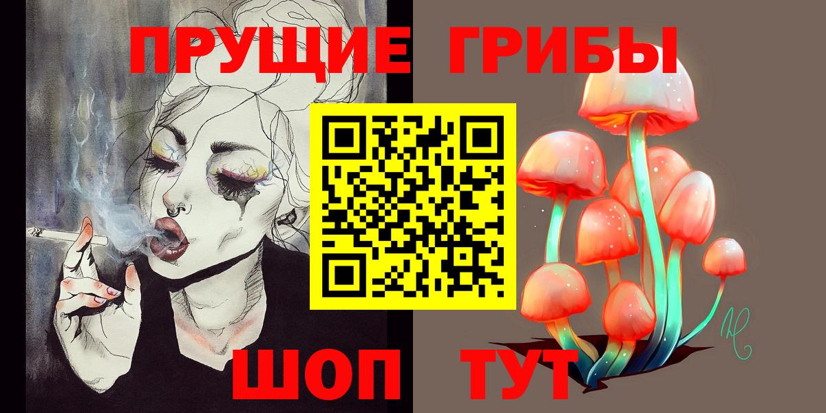 Галлюциногенные грибы Cubensis  Вход с VPN  Энгельс 