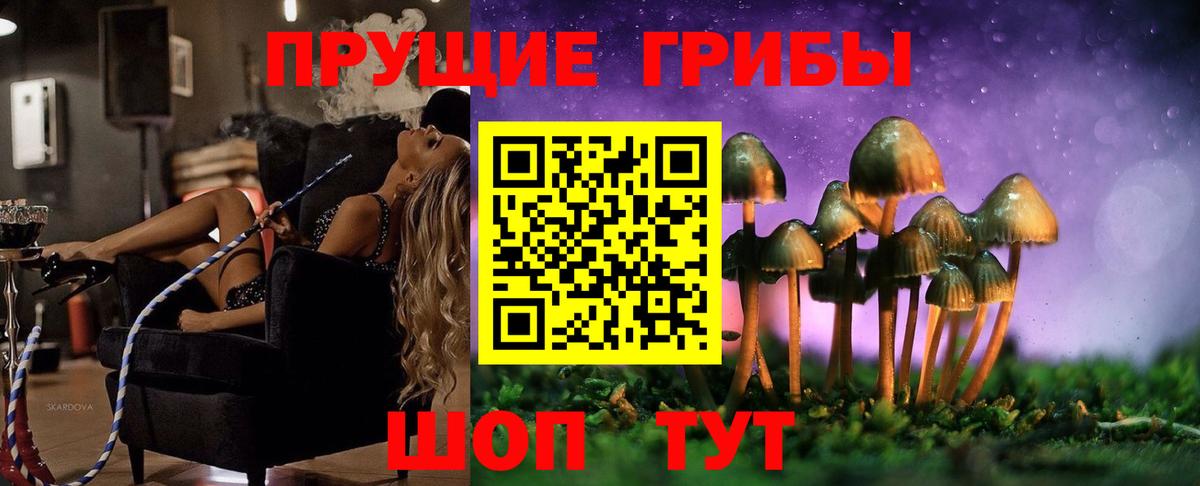 Псилоцибиновые грибы GOLDEN TEACHER Энгельс